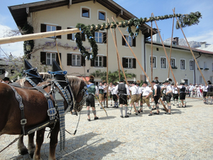 Maibaum-Tradition steht an (Foto: pixabay.com/wetter.net)