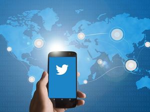 Twitter: Politische Brückenbauer sind nicht gefragt (Foto: edar, pixabay.com)