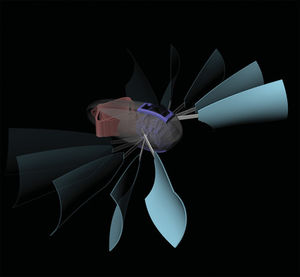 Künstlerische Darstellung des neuen Ruderroboters (Bild: T. Chen, O. R. Bilal)