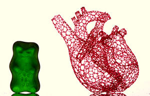 Gerüst: Formgebung bei biologischer Züchtung relevant (Foto: illinois.edu)