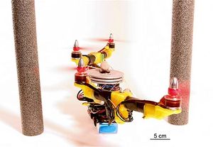 Einfach mal dünn machen: So geht's auch durch Engstellen (Foto: cnrs.fr)