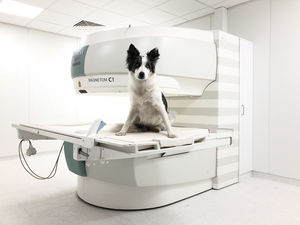 MRT - Magnetresonanztomographie fur Hunde & Kleintiere (Foto: Vetpix)