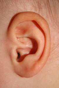Ohr eines Babys: Gehör leidet durch Rauchen (Foto: pixelio.de, Michael Lorenzet)