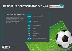 So schaut Deutschland die Fußball-Weltmeisterschaft (© ESET Deutschland GmbH)