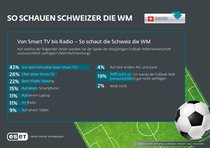 So schauen die Schweizer die WM (© ESET Deutschland GmbH)