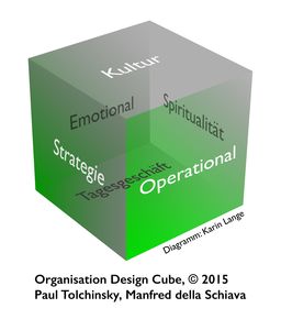 Organisation Design Cube (© 2015, Paul Tolchinsky, Manfred della Schiava)