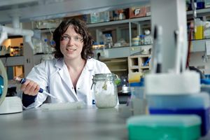 Professorin Kim De Keersmaecker in ihrem Labor (Foto: Rob Stevens, kuleuven.be) Professorin Kim De Keersmaecker in ihrem Labor (Foto: Rob Stevens, kuleuven.be)
