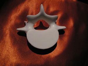 Wirbel: Antikonvulsiva-Verschreibungen in der Kritik (Foto: pixelio.de, sparkie) Wirbel: Antikonvulsiva-Verschreibungen in der Kritik (Foto: pixelio.de, sparkie)