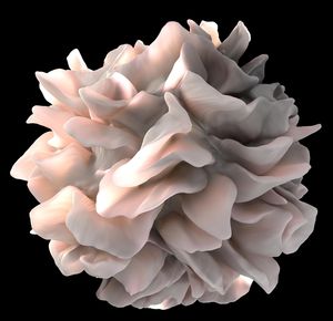 Computer-Animation eines neuen Moleküls (Foto: National Institutes of Health)