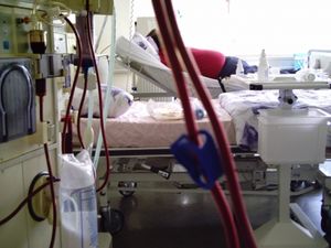 Dialyse: Behandlungsansatz bei Nephritis in Sicht (Foto: pixelio.de, Schwert) Dialyse: Behandlungsansatz bei Nephritis in Sicht (Foto: pixelio.de, Schwert)