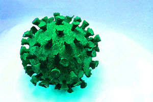 Grippe-Virus: Fettleibigkeit wirkt sich negativ aus (Foto: pixelio.de, Aka) Grippe-Virus: Fettleibigkeit wirkt sich negativ aus (Foto: pixelio.de, Aka)