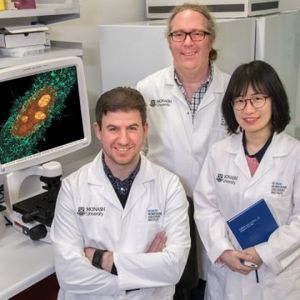 Gregory Moseley (Mitte) und sein Team im Labor (Foto: monash.edu) Gregory Moseley (Mitte) und sein Team im Labor (Foto: monash.edu)