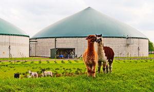 Biogasanlage: Überschussstrom wird zu Methan (Foto: Uschi Dreiucker/pixelio.de)