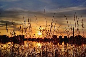 See: Ökosystem leidet unter Klimawandel (Foto: Andreas Hermsdorf, pixelio.de)