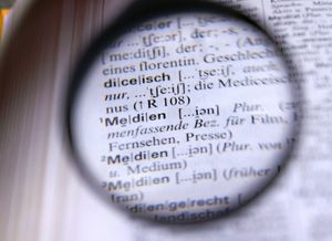 Lupe: Briten für Kontrolle im Social Web (Foto: S. Hofschlaeger, pixelio.de)