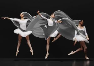 Ballerina: Tanz als komplexe Bewegung druckbar (Foto: mosculp.csail.mit.ed)