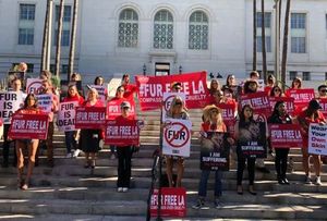 Pelzfrei: PETA freut sich über Entscheidung in Los Angeles (Foto: peta.org)