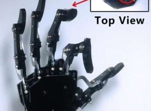 Finger mit Spezialhaut: Das ermöglicht hohe Sensibilität (Foto: english.cas.cn)