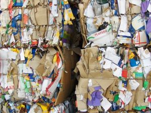 Altpapier: Nur recyclebar, wenn nicht verunreinigt (Foto: Roxy, pixelio.de)