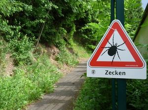 Zeckengefahr: Borreliose ist auf dem Vormarsch (Foto: pixelio.de, Dieter Schütz)