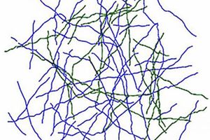 Affengehirn vereinfacht: neue Axone grün dargestellt (Foto: rockefeller.edu) Affengehirn vereinfacht: neue Axone grün dargestellt (Foto: rockefeller.edu)