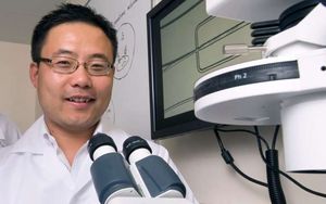 UCI-Forscher Weian Zhao bei der Arbeit im Labor (Foto: Steve Zylius, uci.edu) UCI-Forscher Weian Zhao bei der Arbeit im Labor (Foto: Steve Zylius, uci.edu)