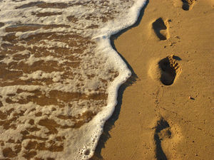 Spuren im Sand: Strände verschwinden (Foto: Rainer Sturm, pixelio.de)