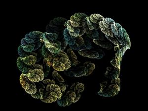 Algorithmus: Menschen immer misstrauischer (Foto: pixelio.de, A. Rausch)