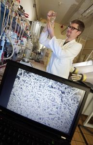 Forscher mit biofilmartiger Aggregatbildung (Foto: Jan-Peter Kasper/uni-jena.de)