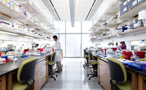 Labor der Mikrobiologen an der University of South California (Foto: usc.edu)