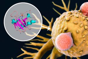 Enzyme-Mix attackiert eine Krebszelle - und das hocheffizient (Grafik: mit.edu)