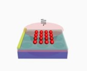 Bakterien-Sensor mit Plättchen aus Graphen (Grafik: Bing-Gang Xiao, cjlu.edu.cn)