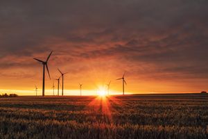 Windräder: auch wirtschaftlich sehr sinnvoll (Foto: Karten Würth, unsplash.com)