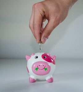 Sparschwein: Deutsche keine Sparweltmeister (Foto: pixabay.de, USA-Reiseblogger)