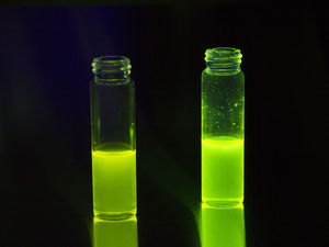 Hochspezialisierte S-PPV-Polymere in leuchtenden Farben (Foto: tuwien.at)
