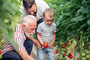 Estate Planning ist Finanzplanung - zu Ende gedacht (Foto: iStock)