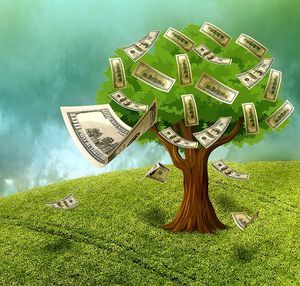 Lohnende Zinsen: US-Staatsanleihen rentabel (Foto: pixabay.com, kalhh)