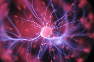 Nervenzelle: Signalübertragung erforscht (Foto: unsplash.com, Hal Gatewood)