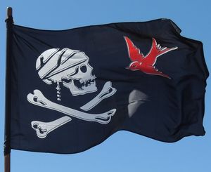 Piratenfahne: hoher Schaden durch Fälschungen (Foto: pixabay.de/LeslieAnneliese)