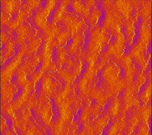 So ordnen sich Buckyballs (violett) auf Graphen an (Foto: Kim Lab, brown.edu)