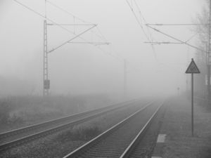 Nebel-Schienen: Ernährungsumstellung hilft (Foto: pixelio.de/Lutz Stallknecht)