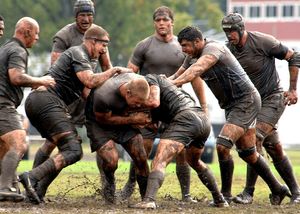 Männersport Rugby: Sex soll Fans locken (Foto: skeeze, pixabay.com)