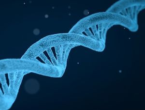 DNA: Genkombinationen entscheiden über Ehe (Foto: pixabay.com, qimono)