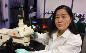 Xin-Yun Lu: neuer Ansatz gegen Depressionen (Foto: Phil Jones, augusta.edu)