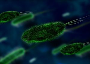 Bakterien: Erreger kommunizieren über Moleküle (Foto: pixabay.com, geralt)