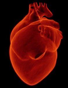 Herz: Selbst kleine Fehler sind später gefährlich (Foto: pixabay.com, sbtlneet)