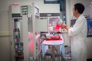 Einsatz des Hautdruckers an einem Leichenteil (Foto: school.wakehealth.edu)