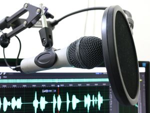 Mikrofon: Podcasts gewinnen an Popularität (Foto: pixabay.com, florantevaldez )