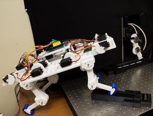 Neuartiger Katzenroboter mit selbstlernenden Beinen (Foto: Matthew Lin)