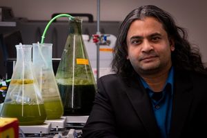 Utah-Forscher Swomitra Mohanty mit Behältern voller Algenöl (Foto: Dan Hixson)